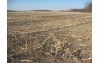 Property photo 26 - 44 Acres Offered in 3 Tracts